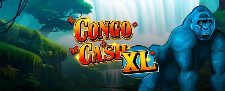 Congo Cash XL