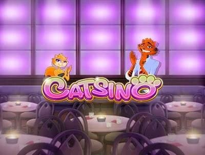 Play Catsino