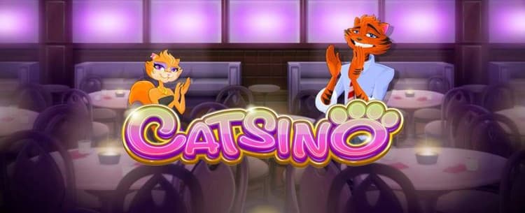 Play Catsino